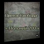 Лесопавал 200