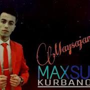 Maxsud Kurbanov Maysajan Максуд Курбанов Майсажан Music Verison