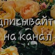 Дуьненчох1 Цхьан Ца Даха Кхоьллина Вай Иман Темирбулатова 2018