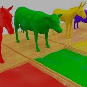 Video Educativo Para Niños Aprende Los Colores Aprende Los Animales