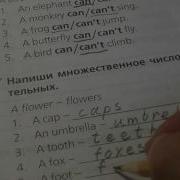 Звездный Английский 2 Класс Модуль 3 Упр 8