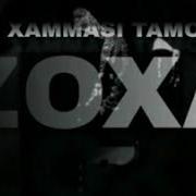 Zoxa Hammasi Tamom