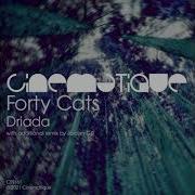 Forty Cats Driada