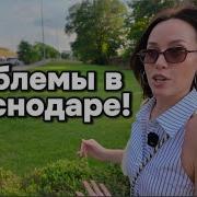 Едем На Машинне