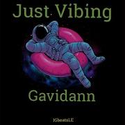 Igbeatsle Just Vibing Feat Gavidann