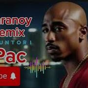 2 Pac Paranoid Remix