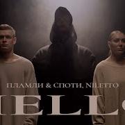 Hello Пламли Споти Niletto