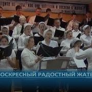 Воскресный Радостный Жатвы День Хор Пение