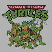 Teenage Mutant Ninja Turtles Cartoon Opening Theme