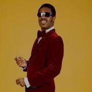 Steve Wonder Mean