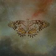 Nomade Ronhoff