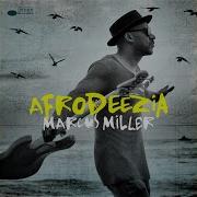 Marcus Miller Preacher S Kid Song For William H