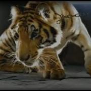 Ying Yang Twins Dangerous Feat Wyclef Official Music Video Radial By The Orchard