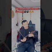 Скрипка Музик Трент