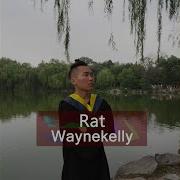 Waynekelly Rat