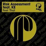 Ke Risk Assessment Feel That Main Mix