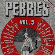 Pebbles Vol 5 Remastered Revisioned Sixties Garage Punk