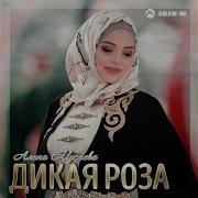 Алина Евкурова Иса