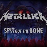 Spit Out The Bone Metallica