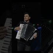 Аккордеон Музыка Для Души