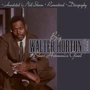 It S You Baby Big Walter Horton