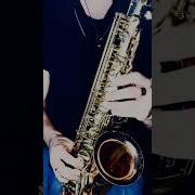 Tristar Буй Буй Бактияр Токторов Sax Cover By Oppositemus