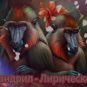 Шоу Маска Мандрил