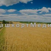 Кубэлэгем Ирек Нугуманов