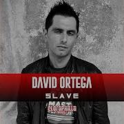 Slave Instrumental Mix David Ortega