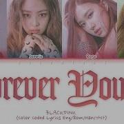 Forever Young Jp Ver Blackpink