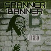 Spanner Banner Don T Put The Blame On Me