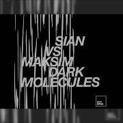 Vicious Circle Sian Maksim Dark