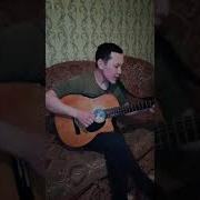 Чаики Стонут И Кричат Тебе Во След