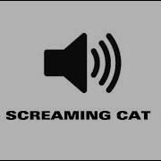 Meow Scream Sound Effect