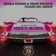 Pájaro Del Monte Nicola Fasano Miami Rockets