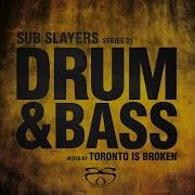 Sub Slayers Series 05 Garage Bassline Continuous Mix Toronto Is Broken