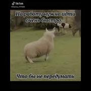 Original Sound Unknown Песня Из Тик Тока