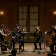 Haydn String Quartet