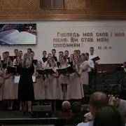 Такие Нежные Глаза Устремлялись В Небеса