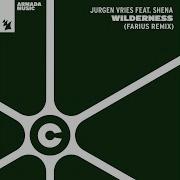 Jurgen Vries Feat Shena Wilderness Farius Remix