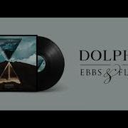 Dolphin Flows