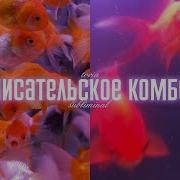 Писательское Комбо