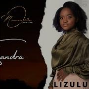 Lizulu Nomandla Sandra Topic