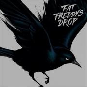 Fat Freddy S Drop Russia