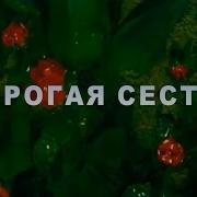 С Днем Рождения Сестренка Happy Birthday