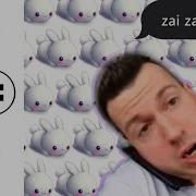 Зай Зазай Зазай Зазай Мяу Мяу