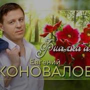 Фиалка Алая Евгений Коновалов