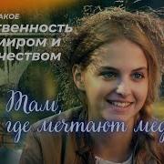 Там Где Мечтают Медведи