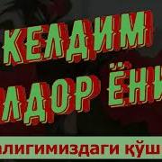 Дил Садоси Dil Sadosi Қўшиқлар