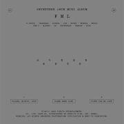 I Don T Understand But I Love You Seventeen Instrumental